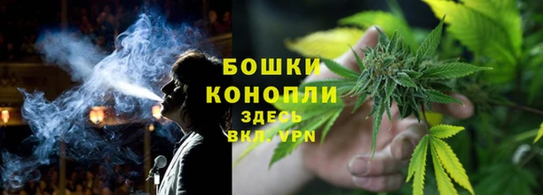 ГАЛЛЮЦИНОГЕННЫЕ ГРИБЫ Надым