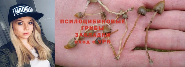 ГАЛЛЮЦИНОГЕННЫЕ ГРИБЫ Надым