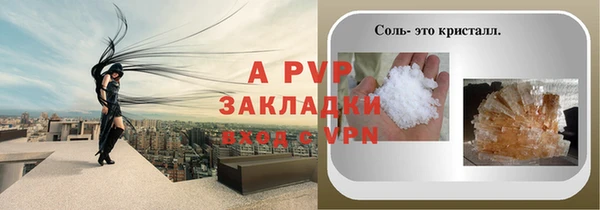 ГАЛЛЮЦИНОГЕННЫЕ ГРИБЫ Надым