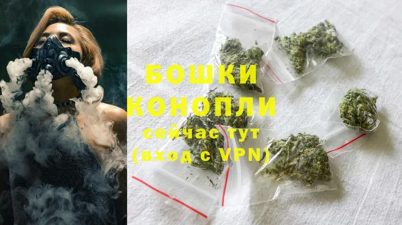 Каннабис OG Kush  Агидель 